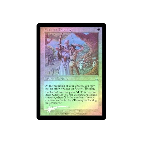 Archery Training - Foil