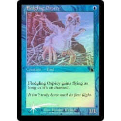 Fledgling Osprey - Foil
