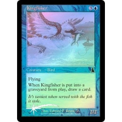 Kingfisher - Foil