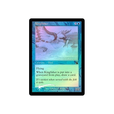 Kingfisher - Foil