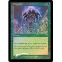 Magnify - Foil