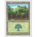 Forest (Version 1)