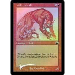 Jhovall Selvaggio - Foil