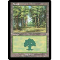 Forest (Version 9)