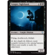 Vampire Nighthawk