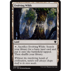Evolving Wilds