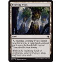 Evolving Wilds