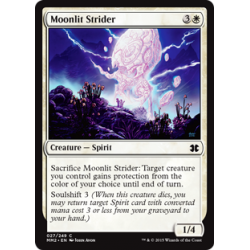 Moonlit Strider