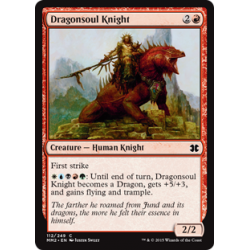 Dragonsoul Knight