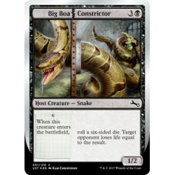 Big Boa Constrictor