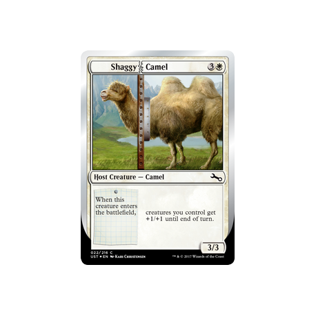 Shaggy Camel - Foil