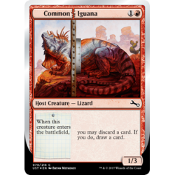 Common Iguana - Foil