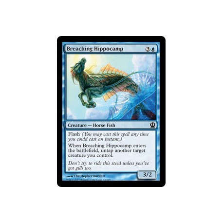 Ippocampo Guizzante - Foil