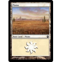 Plains (Version 3) - Foil