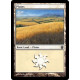 Plains (Version 1) - Foil