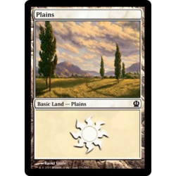 Plains (Version 2) - Foil