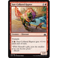 Raptor dal Collare Solare - Foil