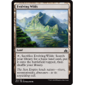 Evolving Wilds - Foil