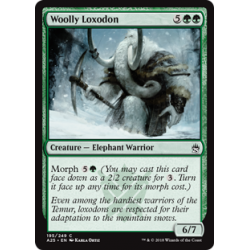 Wollloxodon