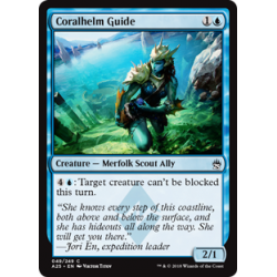 Coralhelm Guide - Foil