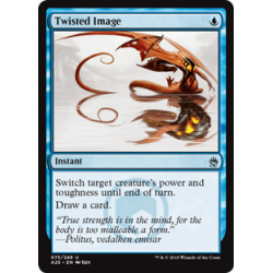 Twisted Image - Foil