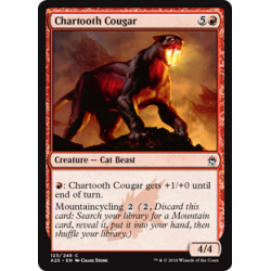 Couguar cendredent - Foil