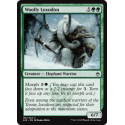 Loxodon laineux - Foil