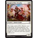 Knight of New Benalia