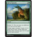 Gift of Growth - Foil