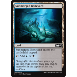 Submerged Boneyard - Foil