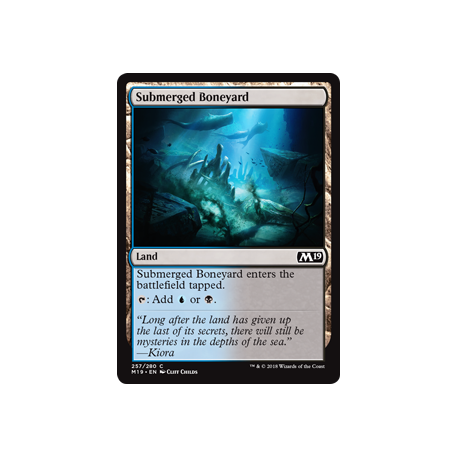 Submerged Boneyard - Foil