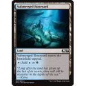 Submerged Boneyard - Foil