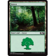 Forest (Version 2) - Foil