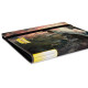 Dragon Shield - Card Codex - Portfolio 360