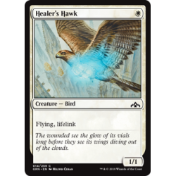 Healer's Hawk