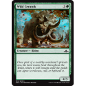 Wild Ceratok