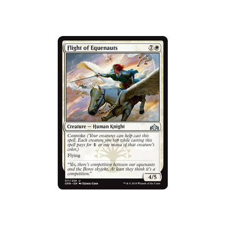 Escadron d'équénautes - Foil