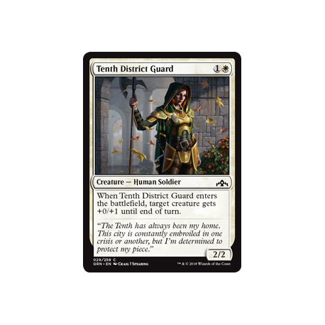 Garde de la dixième circonscription - Foil