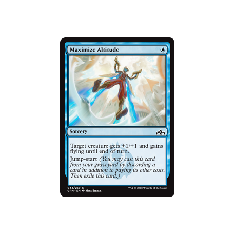 Optimisation de l'altitude - Foil