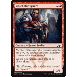 Wojek-Leibwache - Foil