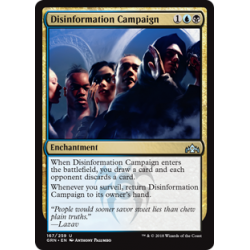 Disinformation Campaign - Foil