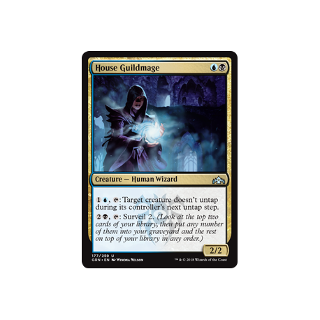 House Guildmage - Foil