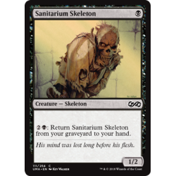 Sanitarium Skeleton