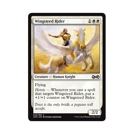 Wingsteed Rider - Foil