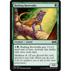 Basking Rootwalla - Foil