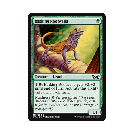 Basking Rootwalla - Foil