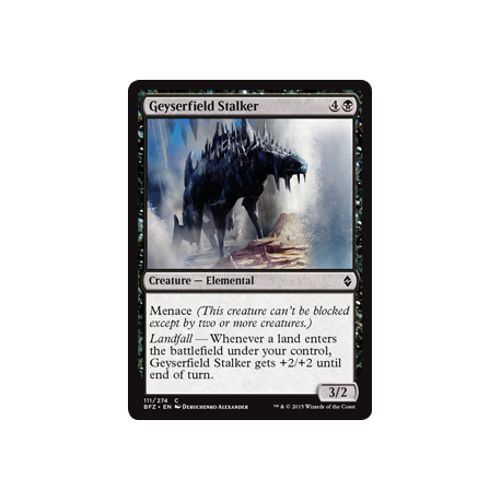 Inseguitore del Campo di Geyser