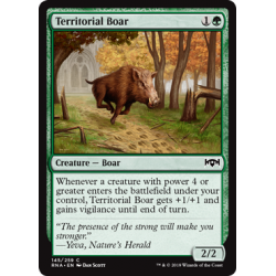 Territorial Boar