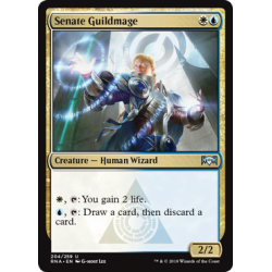 Senate Guildmage - Foil