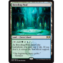 Breeding Pool - Foil